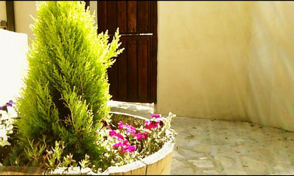 El Jardincillo Guest House โรเบลโด เด ชาเวลา ภายนอก รูปภาพ